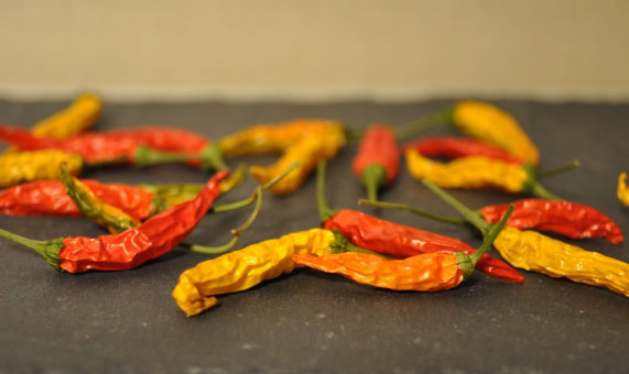 hotpeppers